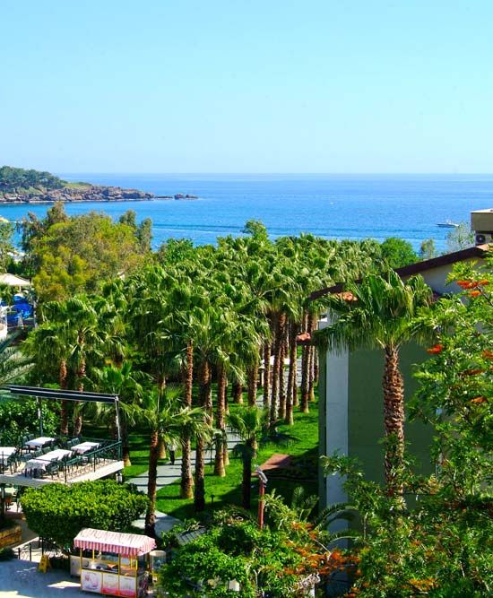 Gardenia Beach Hotel - 27