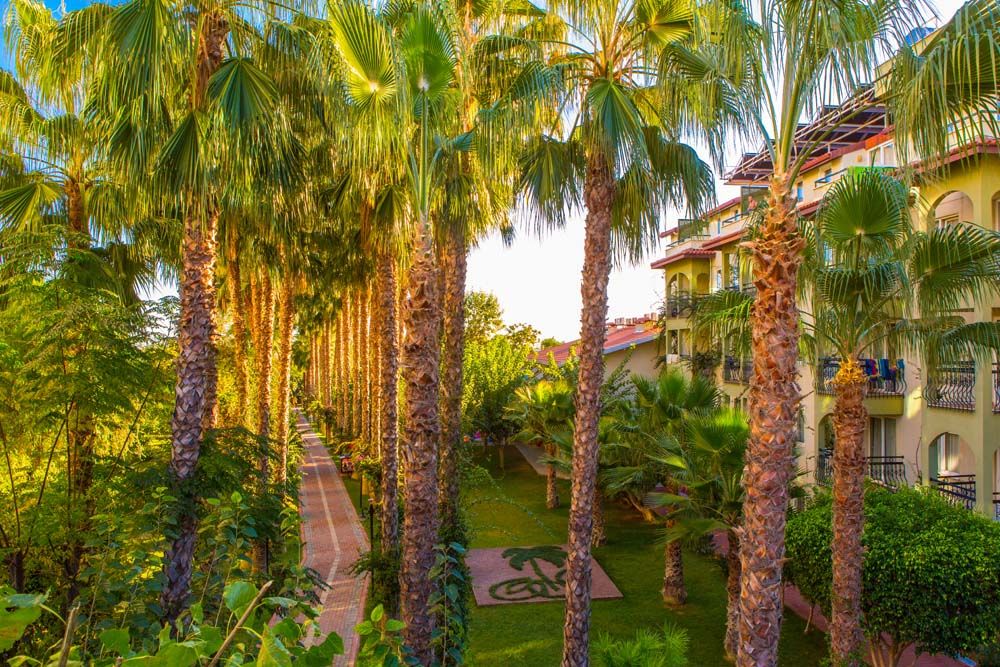 Gardenia Beach Hotel - 22