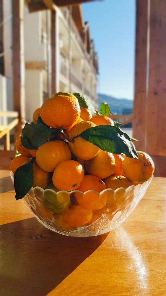 РЕЗИДЕНЦИЯ АПСНЫ, отель стандарт - 29