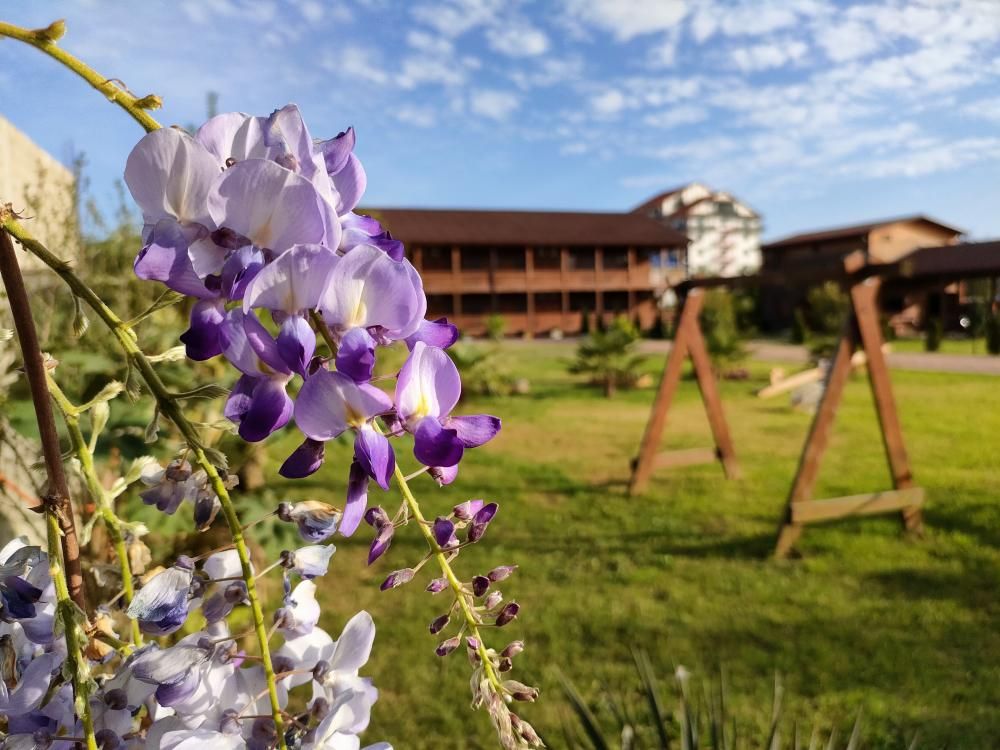 КАРАТ, эко-отель  - 11