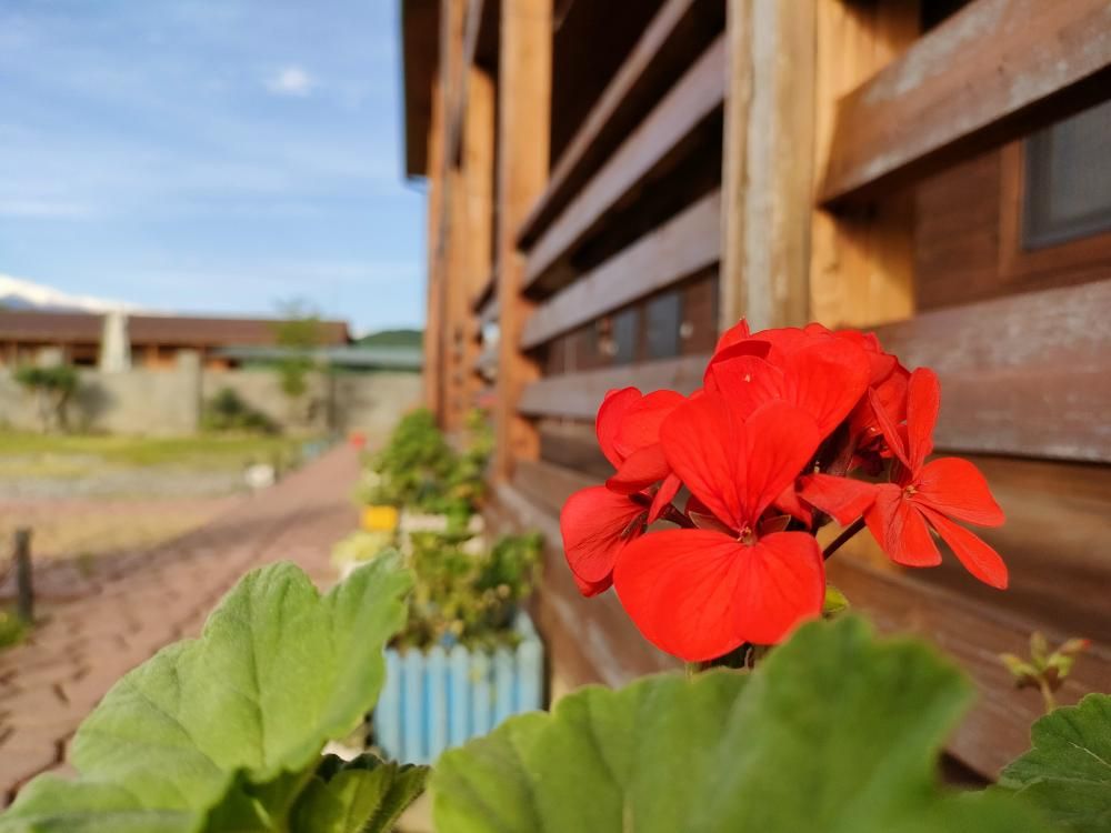 КАРАТ, эко-отель  - 10