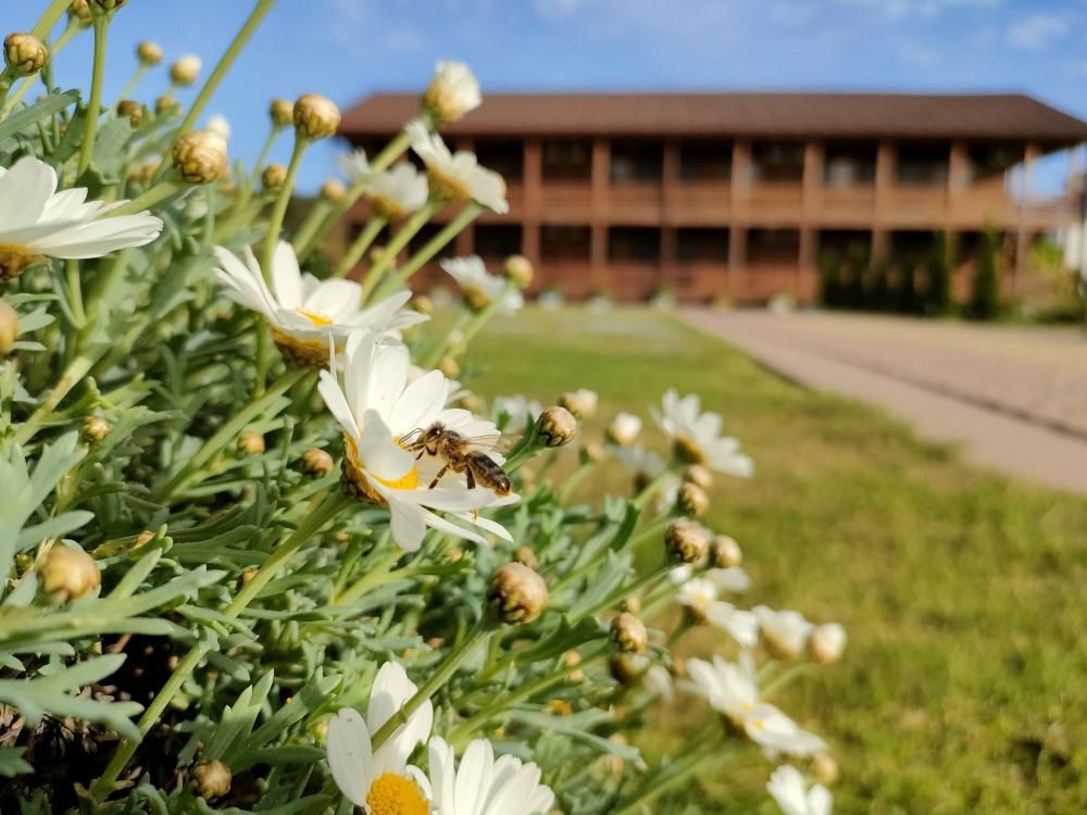 КАРАТ, эко-отель  - 6