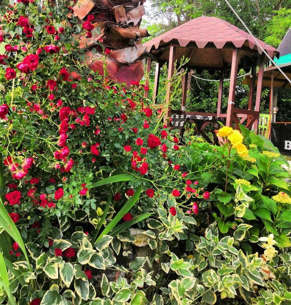 АРАРАТ, отель эконом - 4