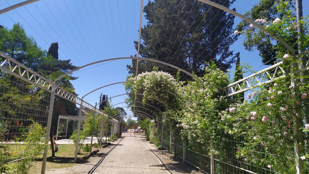 VILLA ДОЛЬЧЕ ВИТА, отель - 14