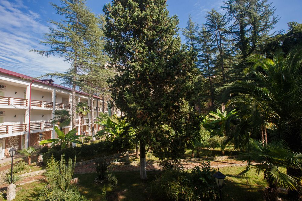 ГОРА ЦАРЯ БАГРАТА, парк отель стандарт - 1