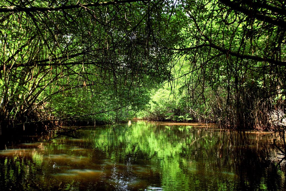 NH BENTOTA CEYSANDS RESORT (ex. CENTARA CEYSANDS) - 4