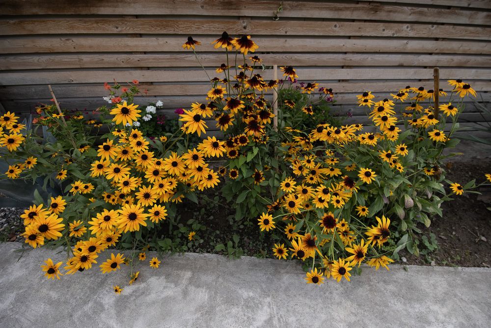 AT THE SEA (НА МОРЕ), коттеджи эконом - 24