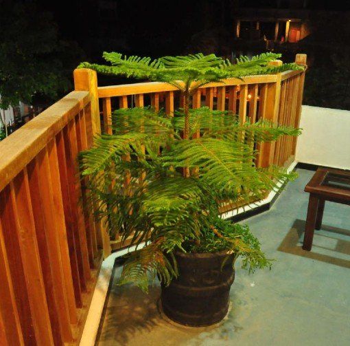 HOTEL BAY WATCH UNAWATUNA - 41