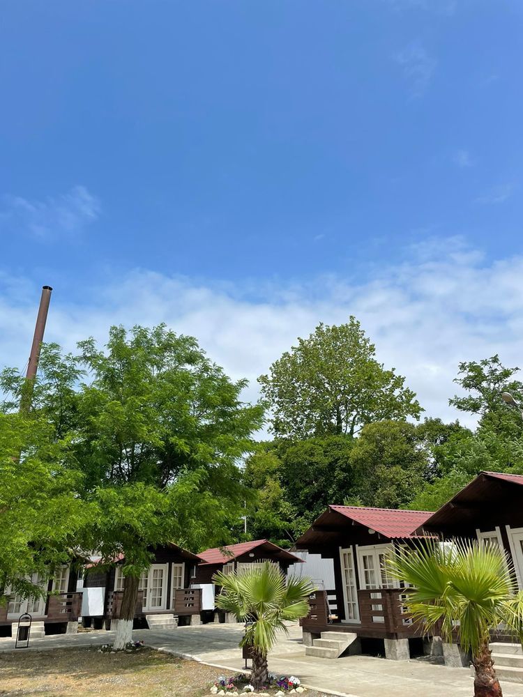 СУХУМСКАЯ БУХТА, ГК - 8