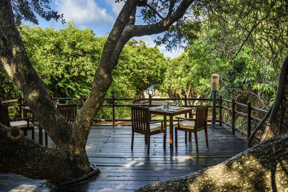 UGA JUNGLE BEACH - 23