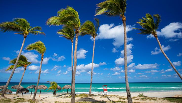 STARFISH CUATRO PALMAS (ex. MERCURE CUATRO PALMAS) - 49