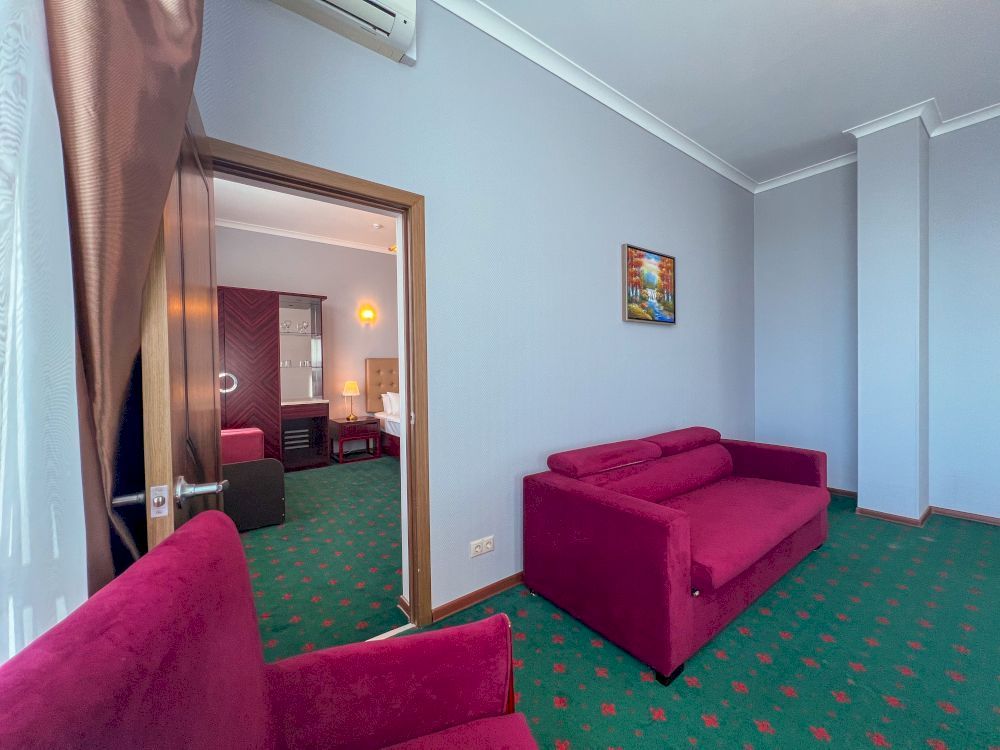 WELLNESS PARK HOTEL GAGRA, отель комфорт - 85