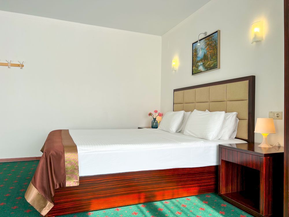 WELLNESS PARK HOTEL GAGRA, отель комфорт - 69