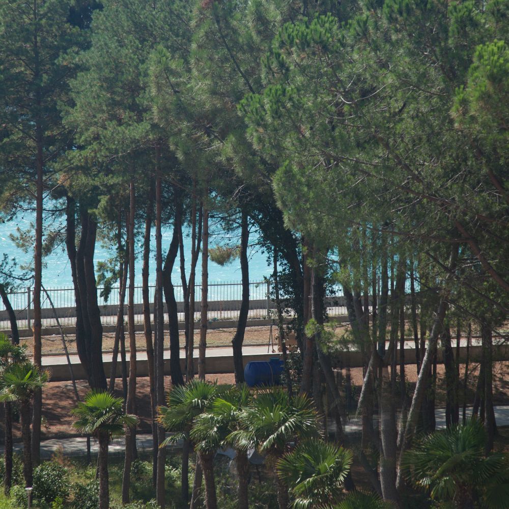 WELLNESS PARK HOTEL GAGRA, отель комфорт - 25
