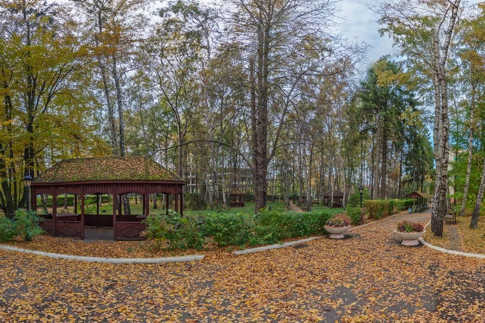 AZIMUT ЗДОРОВЬЕ ЯНТАРЬ, санаторий (лечение детей с 4 лет) - 2