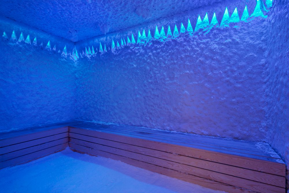 Aydinbey Queens Palace & Spa - 31