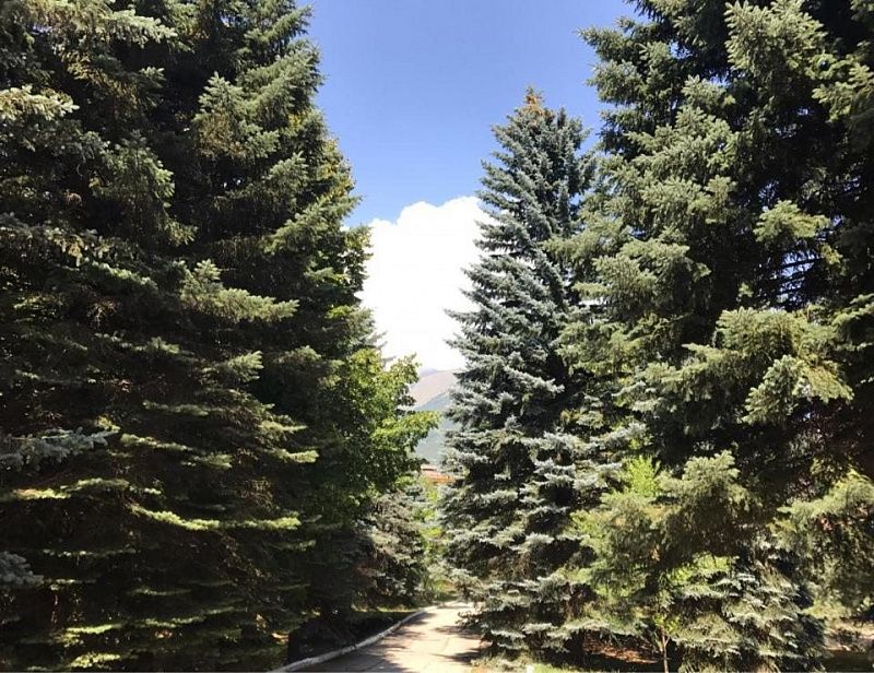 ОЗОН, санаторий - 8