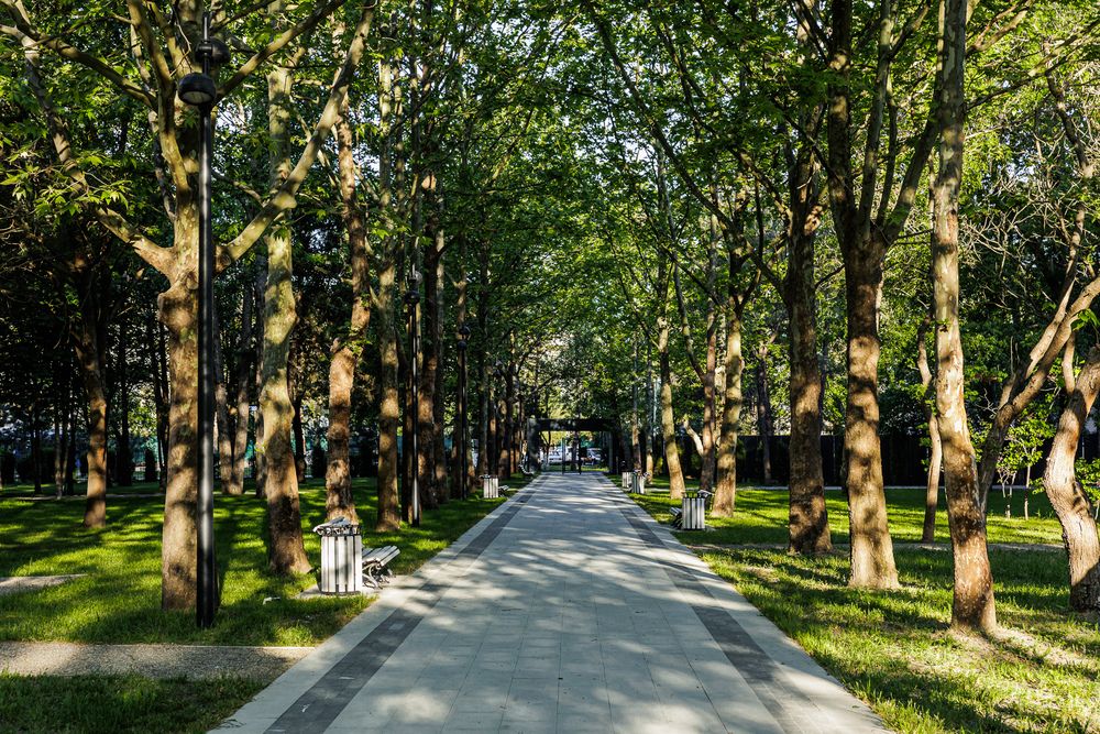 РОССИЯНКА, курортный отель - 25