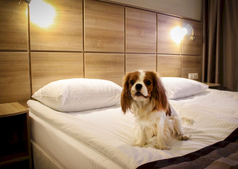 ОХТИНСКАЯ, гостиница - 22