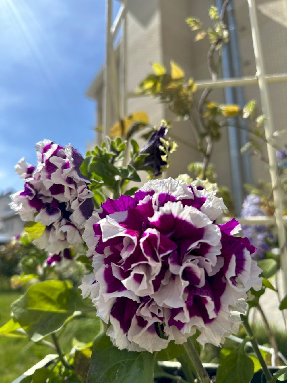 МОРЕМИ ULTRA ALL INCLUSIVE FAMILY HOTEL (ультра все включено), отель  - 11