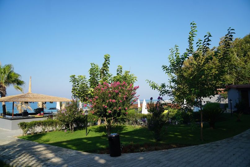 Adora Calma Beach (only adults 16) - 3
