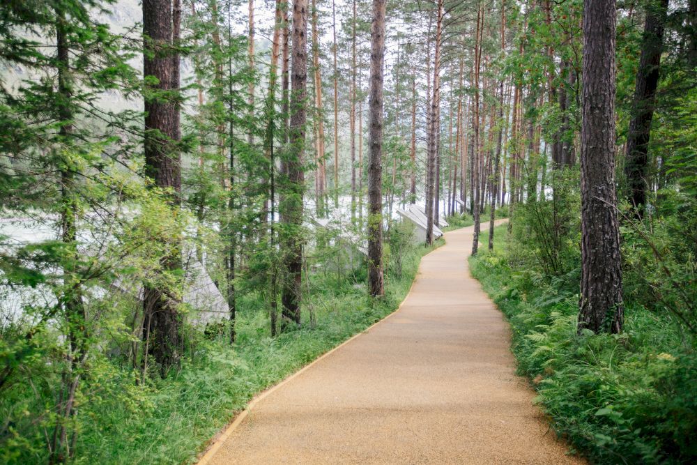 ТЭНЕРИ, горный отель - 34