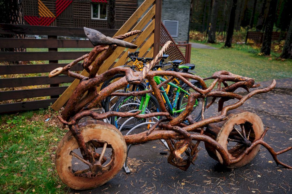 ТЭНЕРИ, горный отель - 16