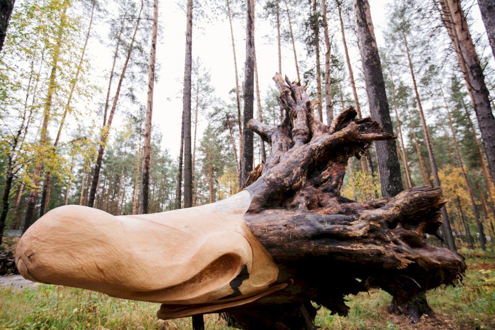 ТЭНЕРИ, горный отель - 9