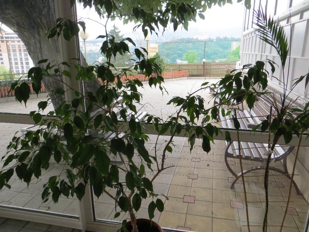 КУБАНЬ, пансионат - 3