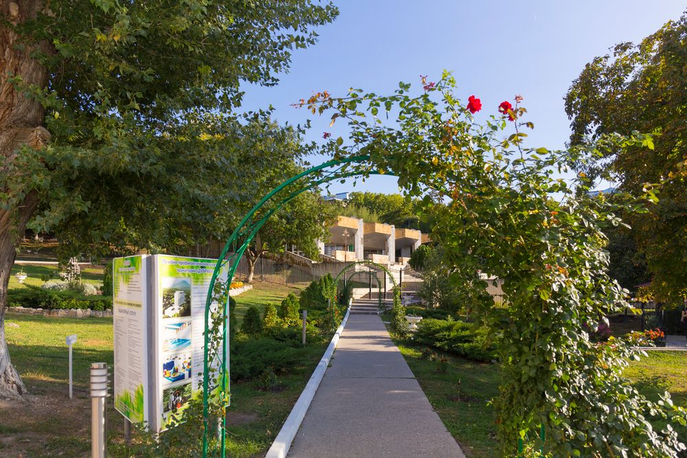 ДУБРАВА, санаторий - 38