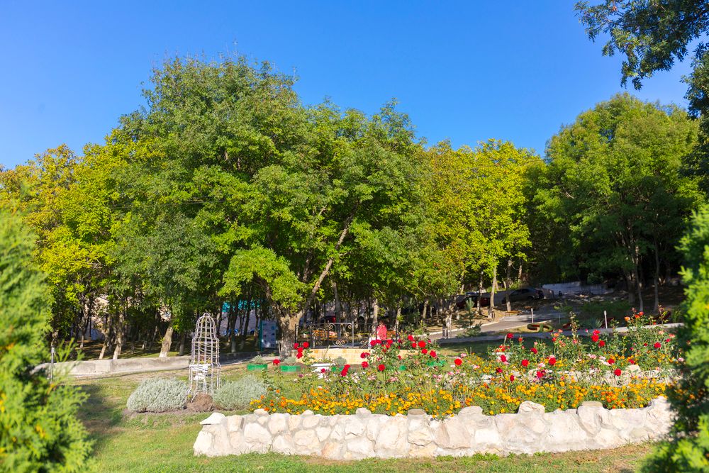 ДУБРАВА, санаторий - 10