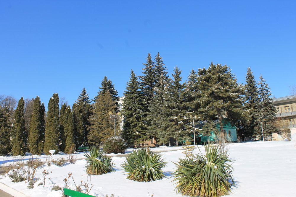 ЮНОСТЬ, Клинический центр Мед. центра - 11