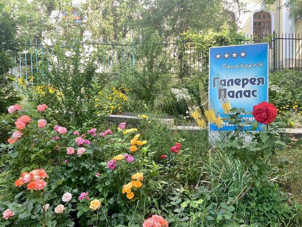 ГАЛЕРЕЯ ПАЛАС, санаторий - 9