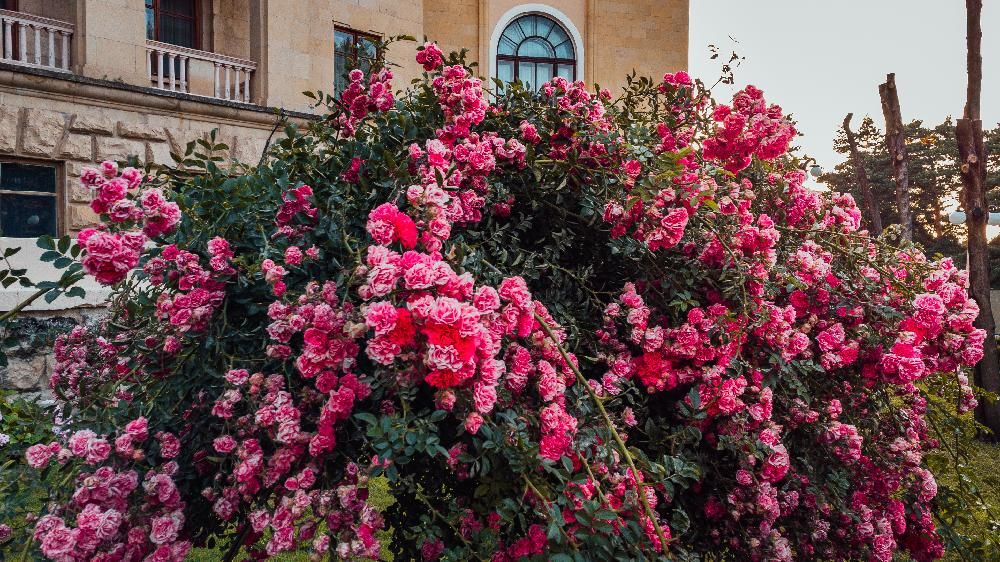 ИМ. ОРДЖОНИКИДЗЕ, санаторий - 19