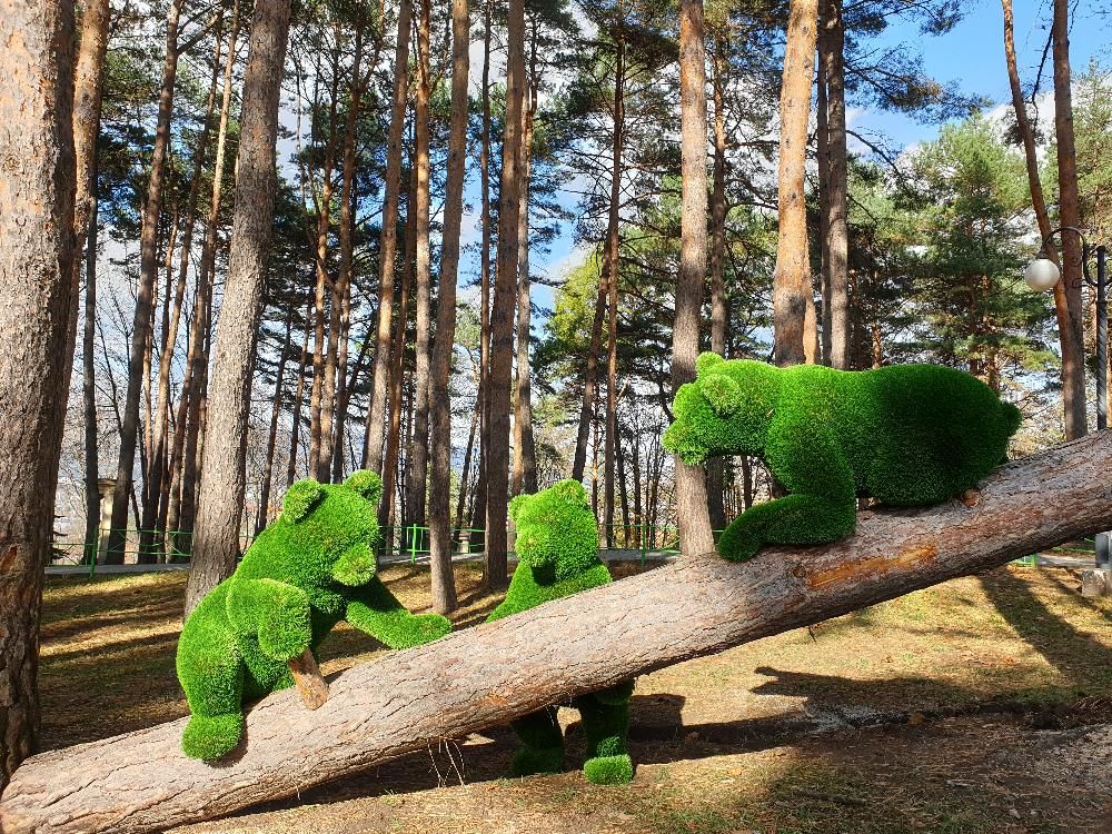 ИМ. ОРДЖОНИКИДЗЕ, санаторий - 11