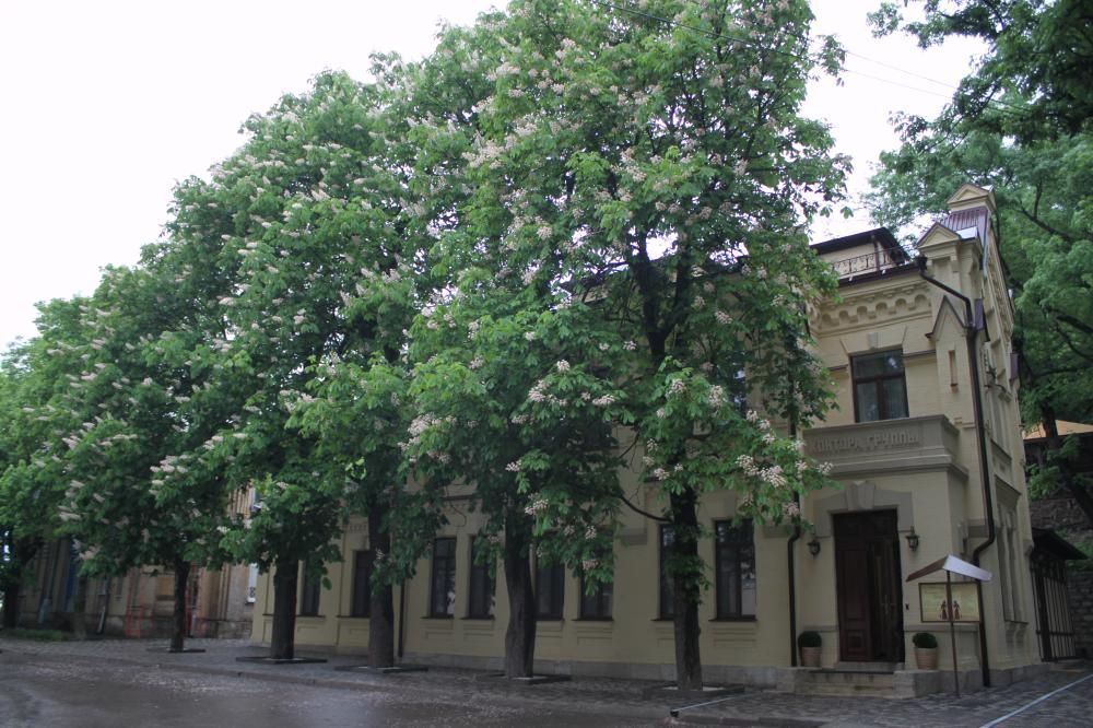 КНЯЖНА МЕРИ, пансионат (лечение детей с 6 лет) - 4