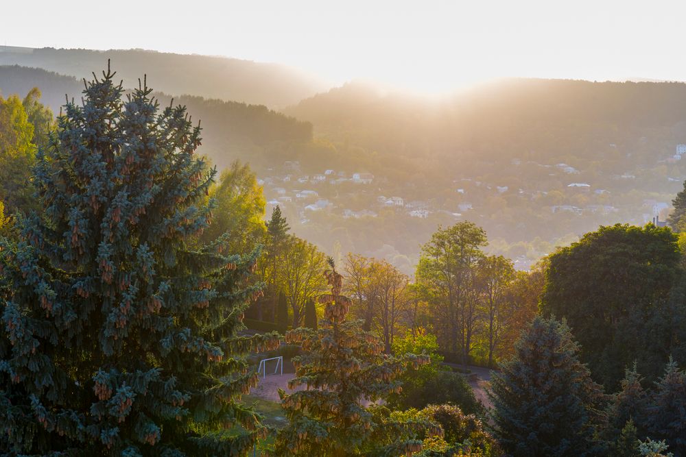 ПИКЕТ, санаторий (размещение с 4 лет) - 11