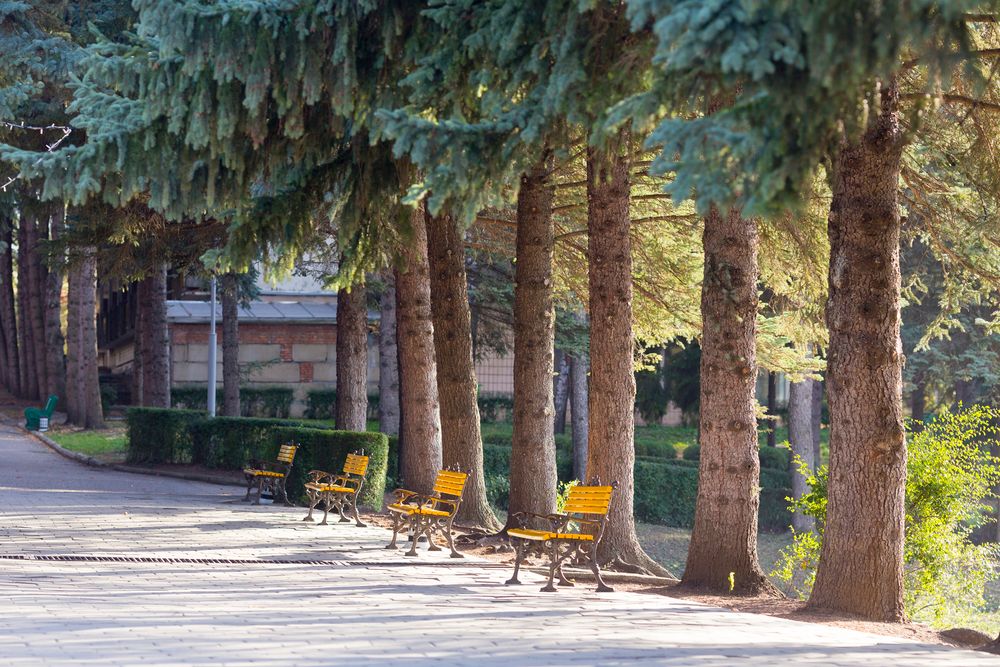 ПИКЕТ, санаторий (размещение с 4 лет) - 8