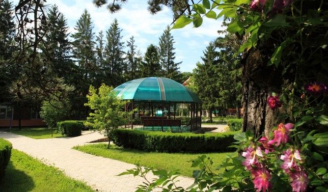 ЛЕСНОЙ, санаторий - 13