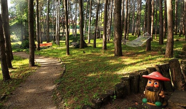 ЛЕСНОЙ, санаторий - 12