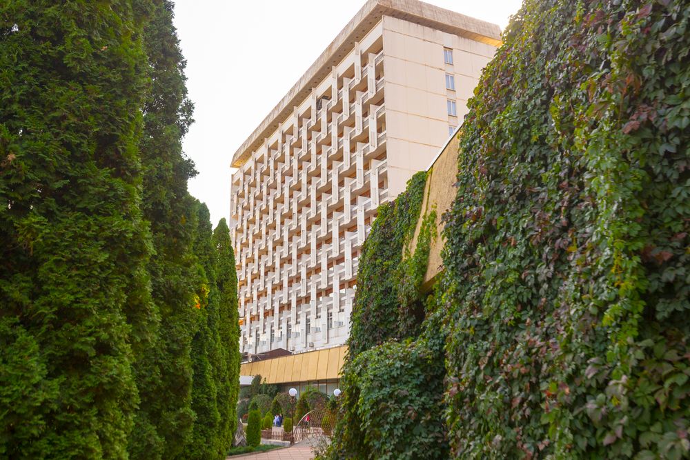 РОДНИК, санаторий (размещение детей с 4 лет) - 4