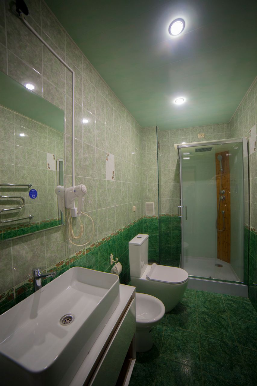 АЛЬПИНА, отель - 92