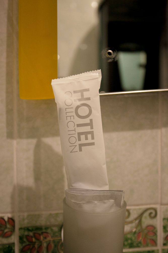 АЛЬПИНА, отель - 41