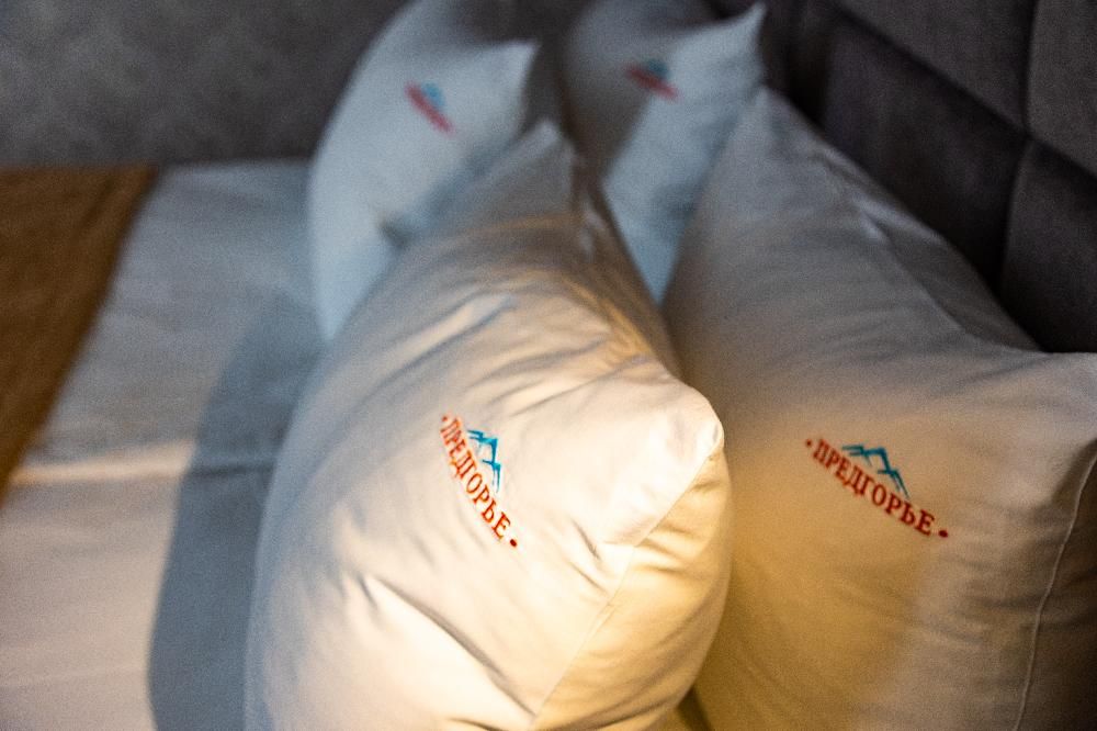 ПРЕДГОРЬЕ, гостиница - 41