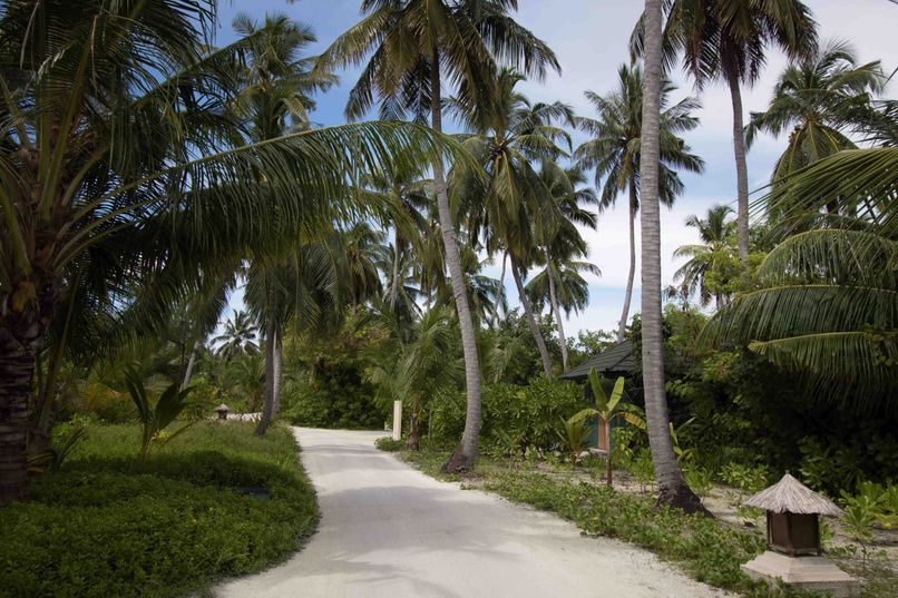 CANAREEF RESORT MALDIVES - 3