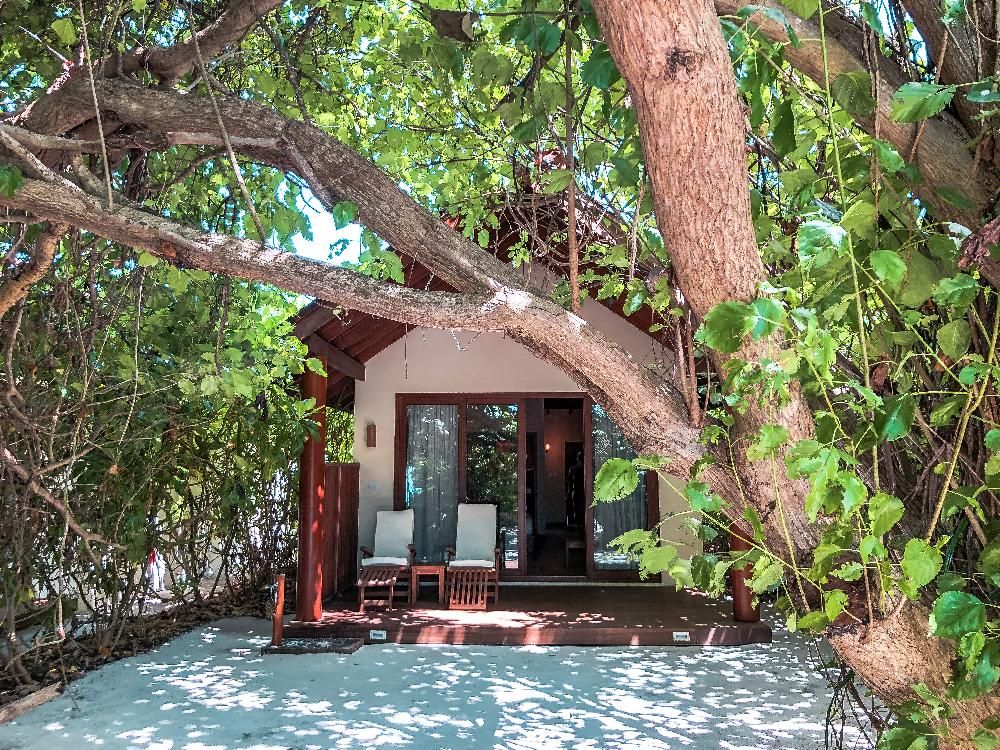 REETHI FARU RESORT - 137