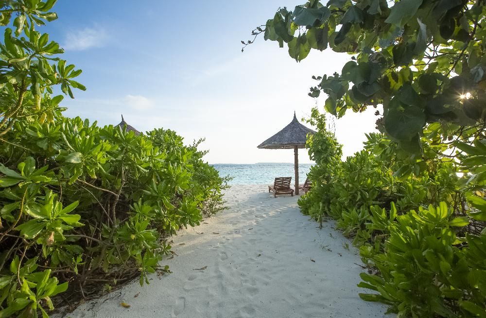 REETHI FARU RESORT - 136
