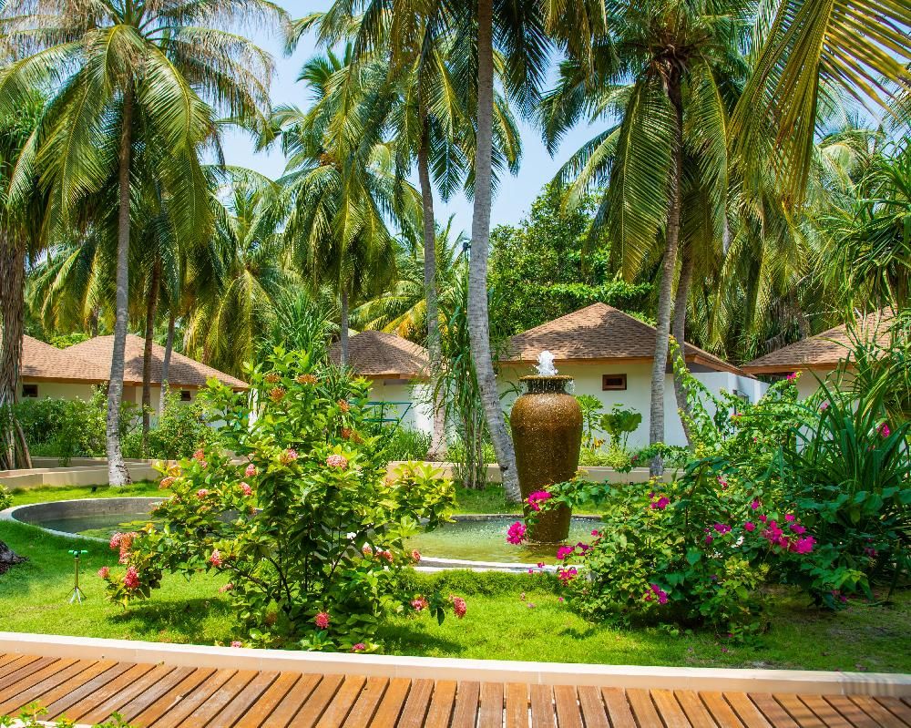 REETHI FARU RESORT - 79