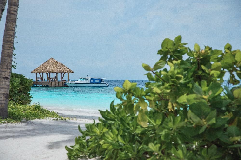 REETHI FARU RESORT - 9