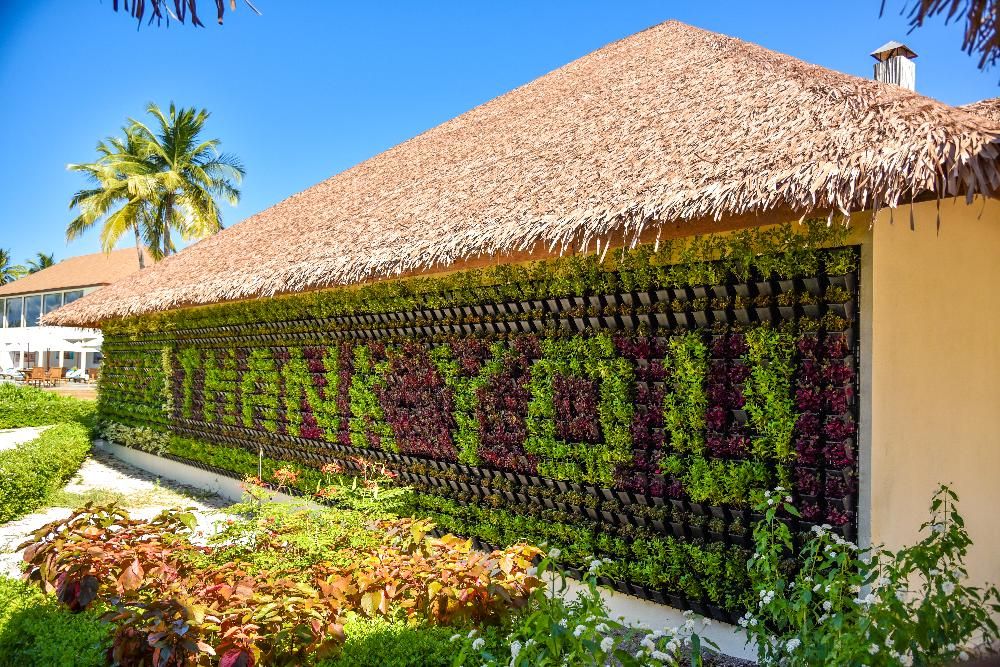 REETHI FARU RESORT - 19